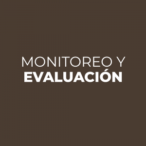 Monitoreo y evaluación